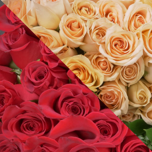 Red & Peach Roses