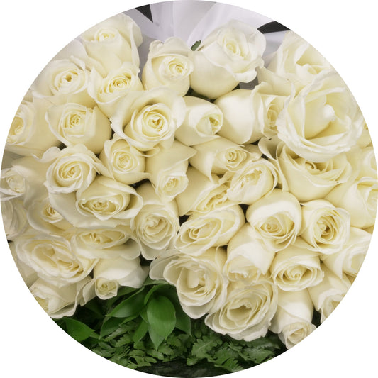 White  Roses